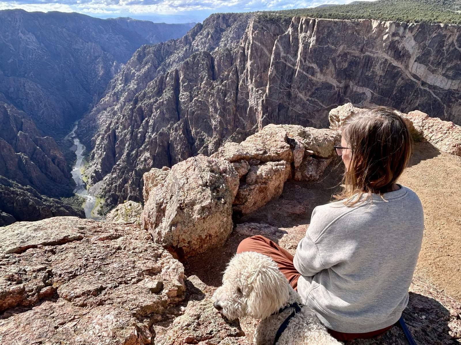 Black Canyon of the Gunnison: one ridge burned, one lush.